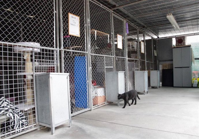 Imagen del Centro Municipal de Acogida de Animales de Girona