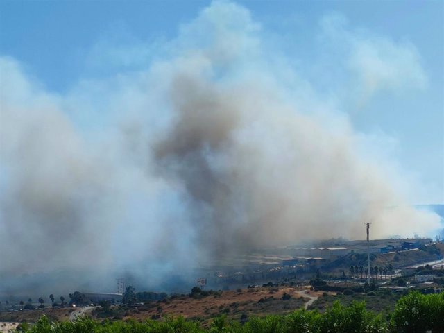 Incendio forestal en la cantera de Manzano en Estepona