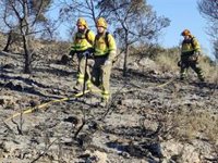Controlados los incendios forestales de Benaguasil y Albaida