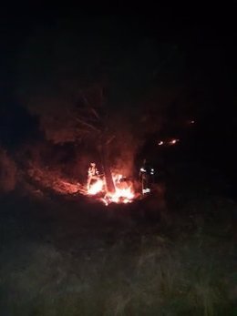 Bomberos del Infoca luchan contra un fuego declarado en Casares