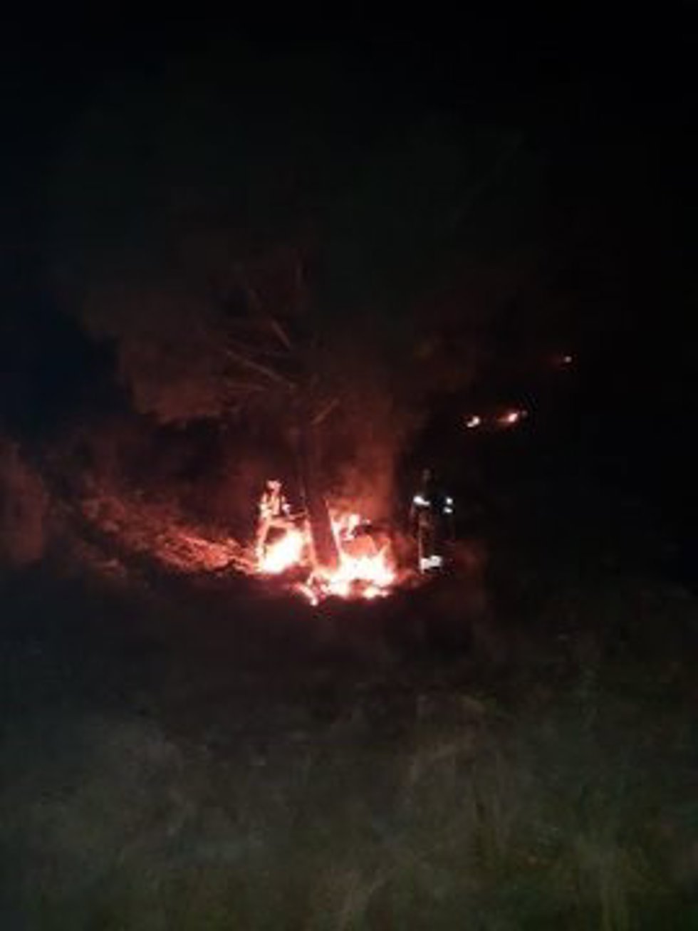 Bomberos del Infoca luchan contra un fuego declarado en Casares