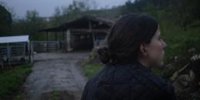 Un total de 13 cortometrajes competirán por el Premio Nest en el Festival de Cine de San Sebastián