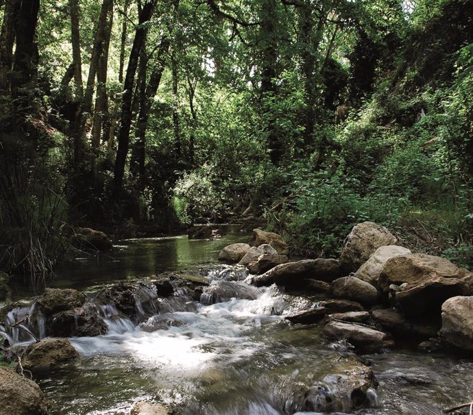 La Diputación ayuda a recuperar en Arriate uno de los senderos fluviales de mayor valor ambiental de la provincia