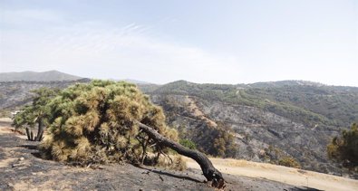 Andalucía