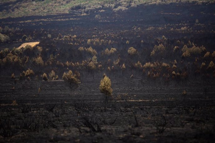 Archivo - Vista general de la zona de Cabañas de Aliste tras el incendio de la Sierra de la Culebra.