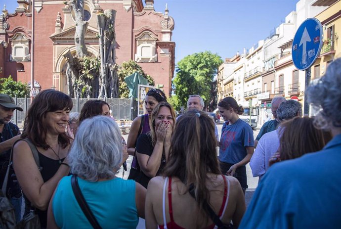 Vecinos celebran la paralización de la tala del ficus centenario de San Jacinto, en Sevilla. 
