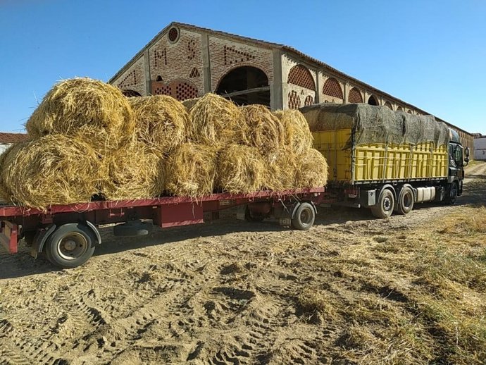 La Diputación de Cáceres continúa con la entrega pacas de heno y triticale a ganaderos afectados por los incendios