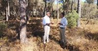 PSOE-Huelva critica el "abandono total" de la Junta en los montes públicos y le insta a trabar para prevenir incendios