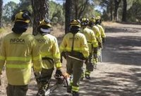 Declarado un incendio forestal en Pizarra (Málaga)