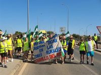La marcha a pie 'Por una Atención Sanitaria Digna en Zonas Rurales' recorre 16 kilómetros de Ochavillo a Palma del Río