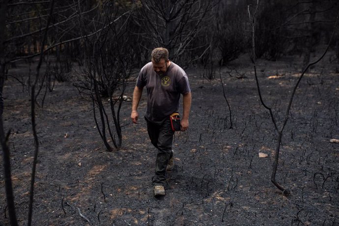 Archivo - Una persona camina en el estado en el que se ha quedado la zona tras el incendio el pasado día 15 en la Sierra de la Culebra, a 21 de junio de 2022, en Villardeciervos, Zamora, Castilla y León (España). 