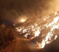 Efectivos del Infoca trabajan en un incendio forestal en Casabermeja (Málaga)