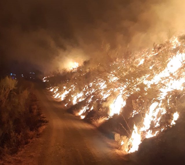 Incendio declarado en la madrugada de este viernes en un paraje de Casabermeja (Málaga)