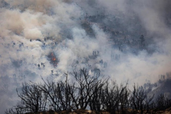 Humo y llamas en el incendio forestal que va desde Alcublas 