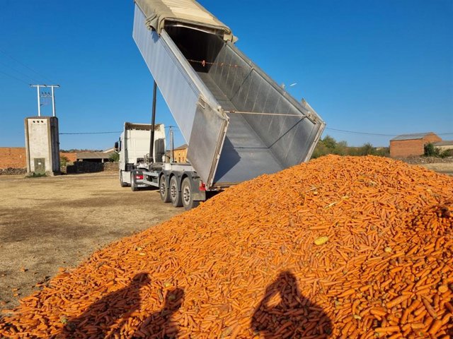 Foto de Asaja Valladolid del alimento enviado a Zamora para apoyar a los afectados por los incendios registrados este verano