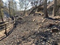 Extinguido el incendio de Les Useres