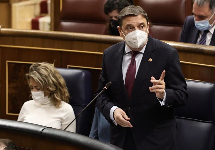 Archivo - El ministro de Agricultura, Luis Planas, interviene en una sesión plenaria en el Congreso de los Diputados 