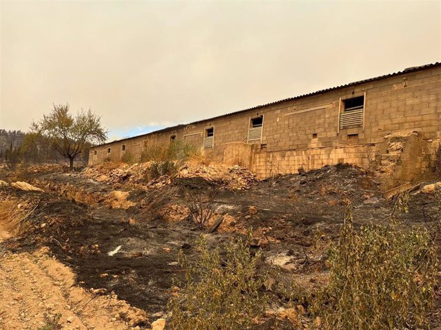 Una explotación afectada por los incendios en el Alto Palancia
