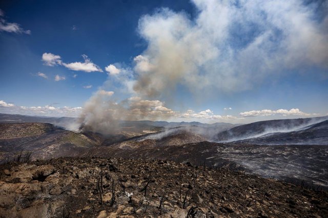 Fum i zona cremada de l'incendi forestal 