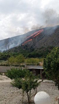 Investigan a un hombre que arrojó al monte restos de brasas como presunto autor del incendio forestal de Petrer