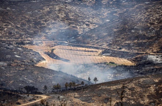 Humo y zona calcinada del incendio forestal que va desde Alcublas hasta las poblaciones de Bejis, Teresa, Toras y Altura