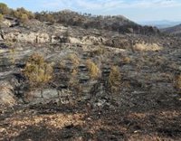 Un geógrafo de la UA aboga por ayudar a la naturaleza de la Vall d'Ebo a regenerarse sin políticas "agresivas"