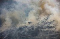 Los incendios forestales arrasan 168.738 hectáreas desde enero hasta el 7 de agosto, el triple de la media de la década