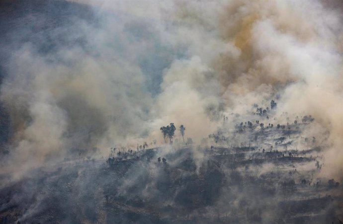 Humo del incendio forestal que va desde Alcublas hasta las poblaciones de Bejis, Teresa, Toras y Altura en la comarca del Alto Palancia (Castellón).
