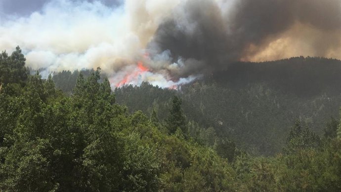 Incendio en el norte de Tenerife