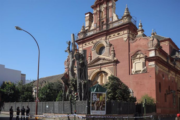 Vista general de la fachada de la Parroquia de San Jacinto con el ficus a medio talar tras la suspensión temporal de la licencia por decisión judicial.