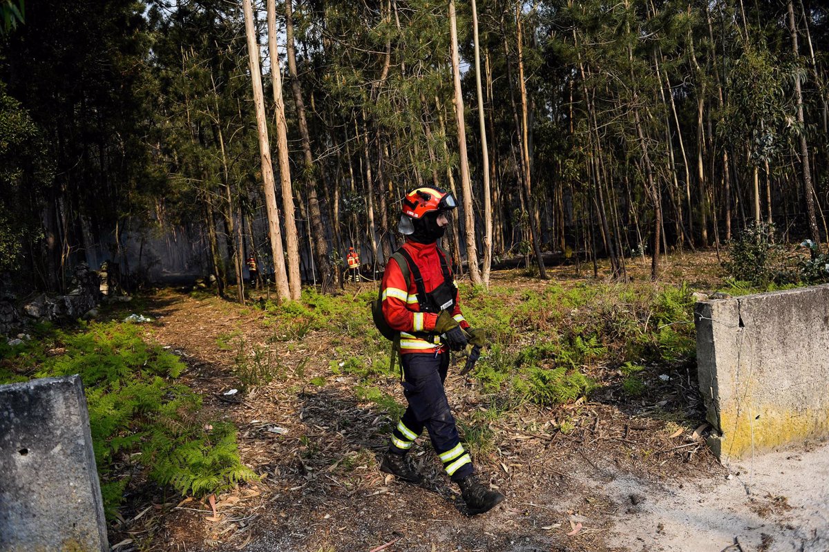 Portugal declara o alerta devido ao elevado risco de incêndios nos próximos dias