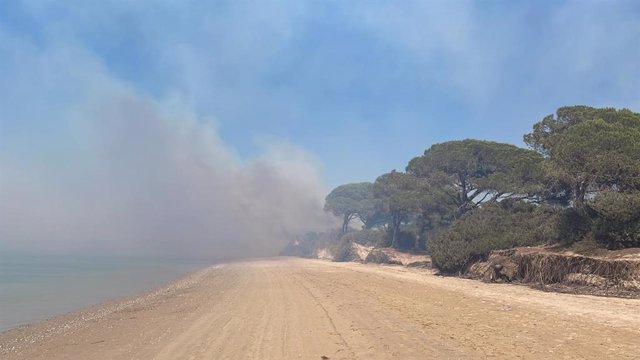 Incendio cerca de la playa de El Conchal en Puerto Real (Cádiz)