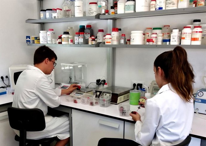 Archivo - Imagen de archivo de investigadores en Andalucía