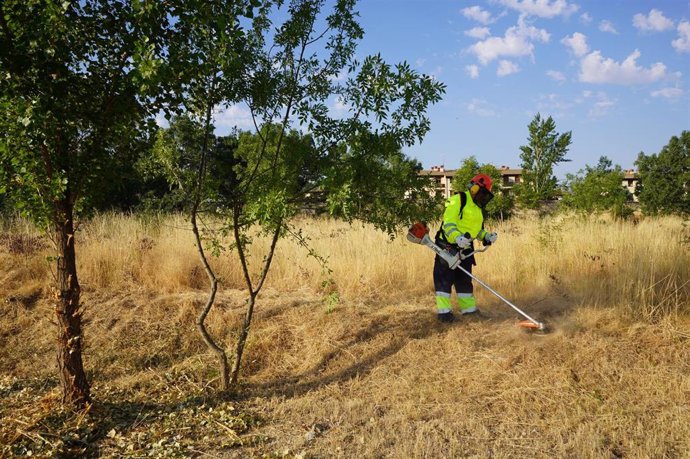 Brigada forestal de la Diputación realiza trabajos de prevención.