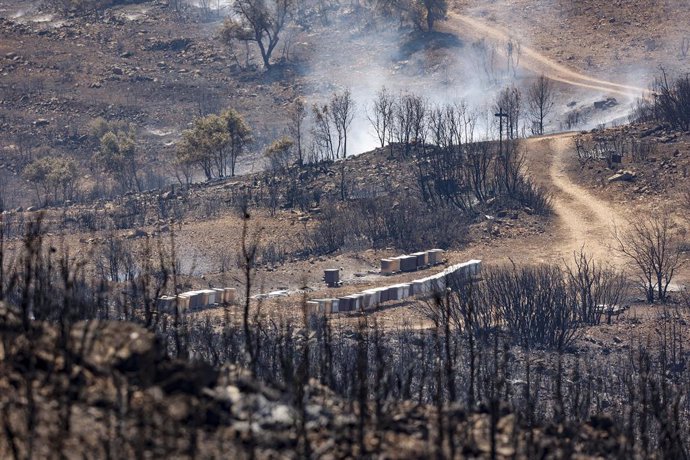 Humo y zona calcinada del incendio forestal que va desde Alcublas hasta las poblaciones de Bejis, Teresa, Toras y Altura en la comarca del Alto Palancia (Castellón), a 18 de agosto de 2022, en Alcublas, Valencia, Comunidad Valenciana (España). El incend