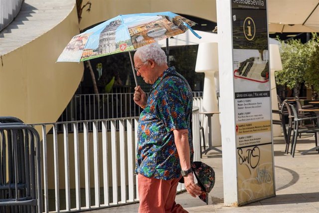 Un turista con un paraguas por la Setas de Sevilla