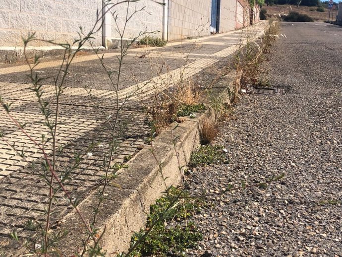 Estado de una de las aceras del barrio de Eras-Área 18.