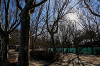 Madrid estudia colocar paneles informativos sobre restos de la Guerra Civil en Moncloa-Aravaca:"Es un tema muy complejo"