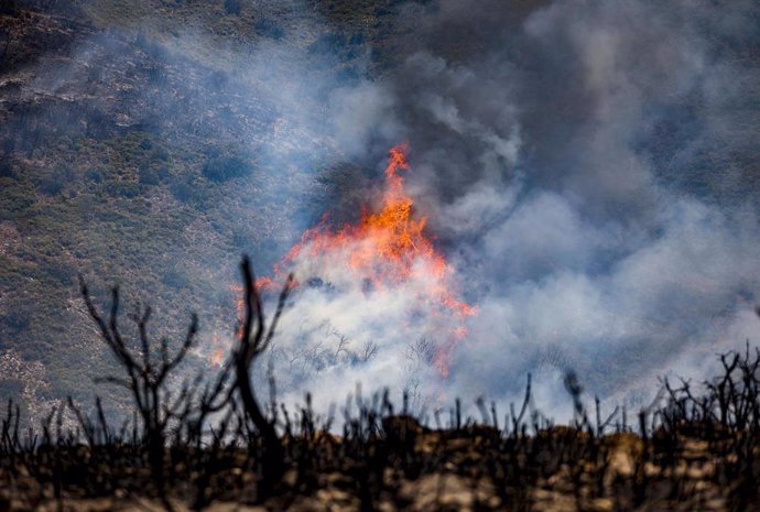 Incendio forestal que va desde Alcublas hasta las poblaciones de Bejis, Teresa, Toras y Altura en la comarca del Alto Palancia (Castellón), a 18 de agosto de 2022, en Alcublas, Valencia, Comunidad Valenciana (España). 