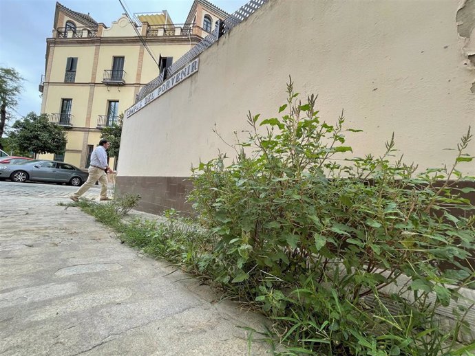 Una de las calles de El Porvenir señaladas por José Luis Sanz