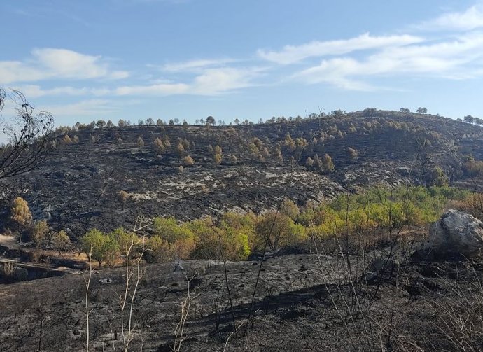 Incendi de la Vall d'Ebo