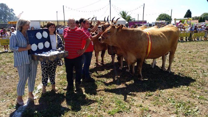 Concurso de ganado en Carreño.