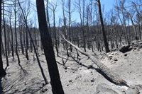 Olona y Sánchez Quero se reúnen con los alcaldes de los municipios afectados por el incendio de Añón de Moncayo