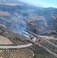 Cortado el carril izquierdo de la A-45 en sentido Córdoba por el incendio forestal de Antequera