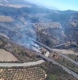 Incendio forestal declarado en Antequera