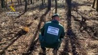 Investigado un hombre como supuesto responsable de ocho incendios forestales en Talayuela este verano