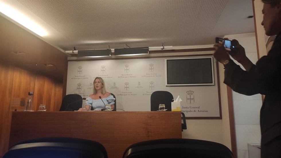 Reyes Hurlé, en una rueda de prensa
