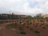 La Asociación de Artistas Visuales lamenta los daños de la escultura 'Núvol' y critica sus "materiales inadecuados"