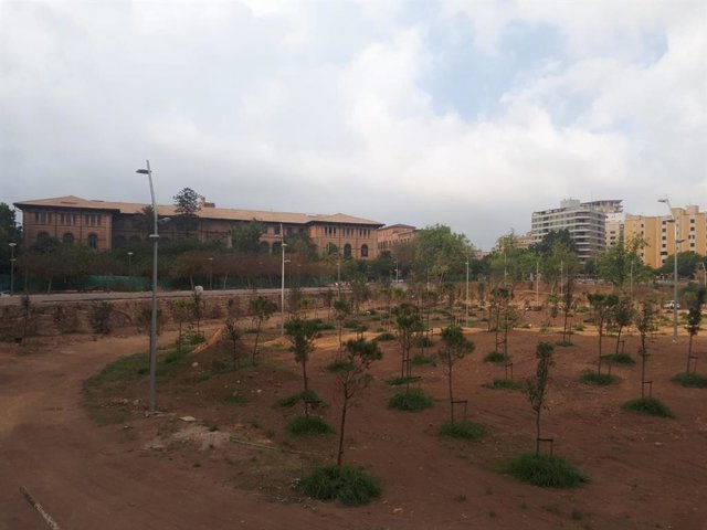 Archivo - Imagen de recurso del canódromo y bosque urbano de Palma.