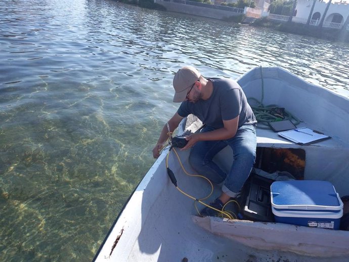 Archivo - Un técnico realiza mediciones de los valores de oxígeno en el Mar Menor (foto de archivo)